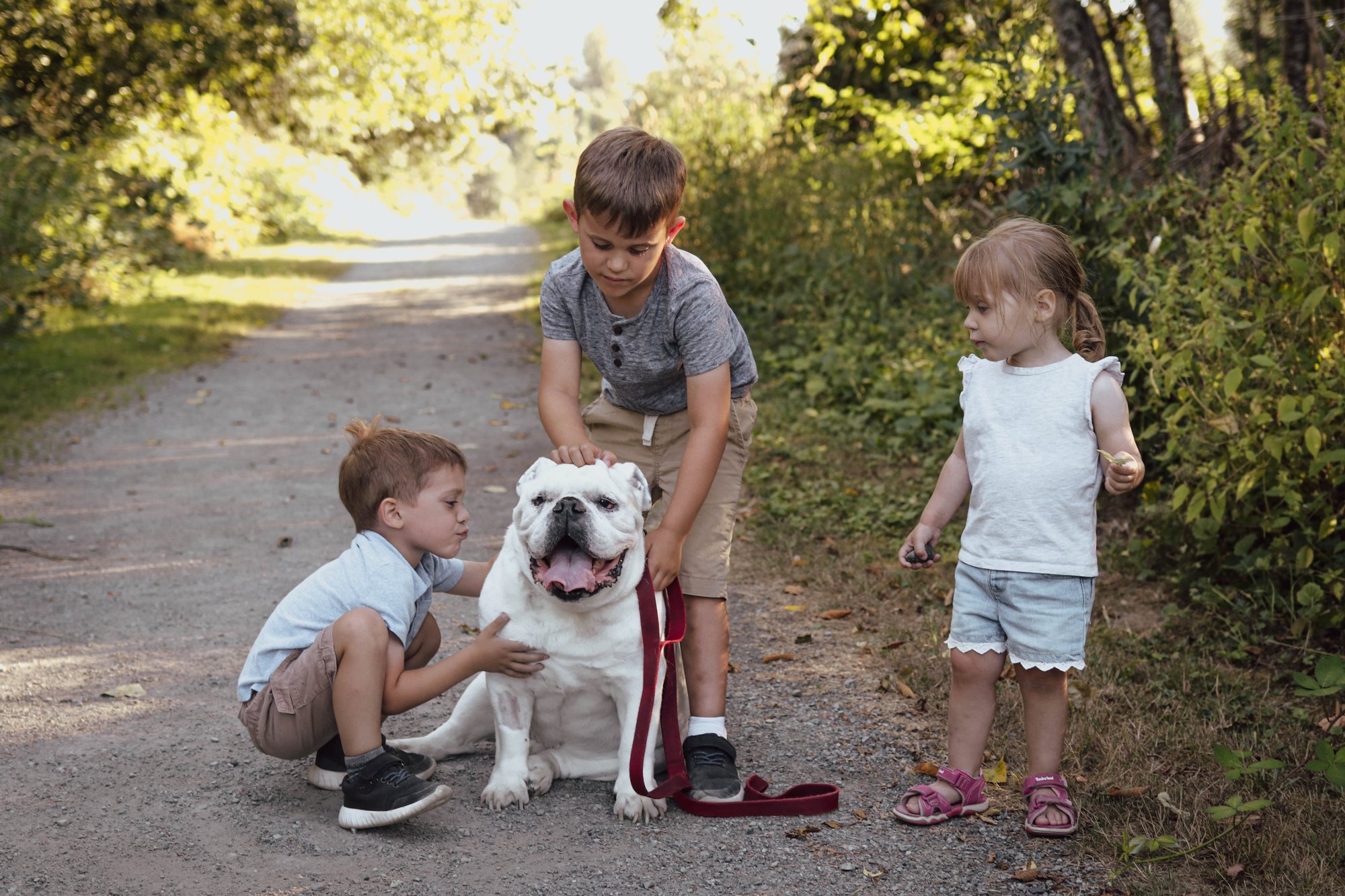 Children walking the family bulldog down a country path