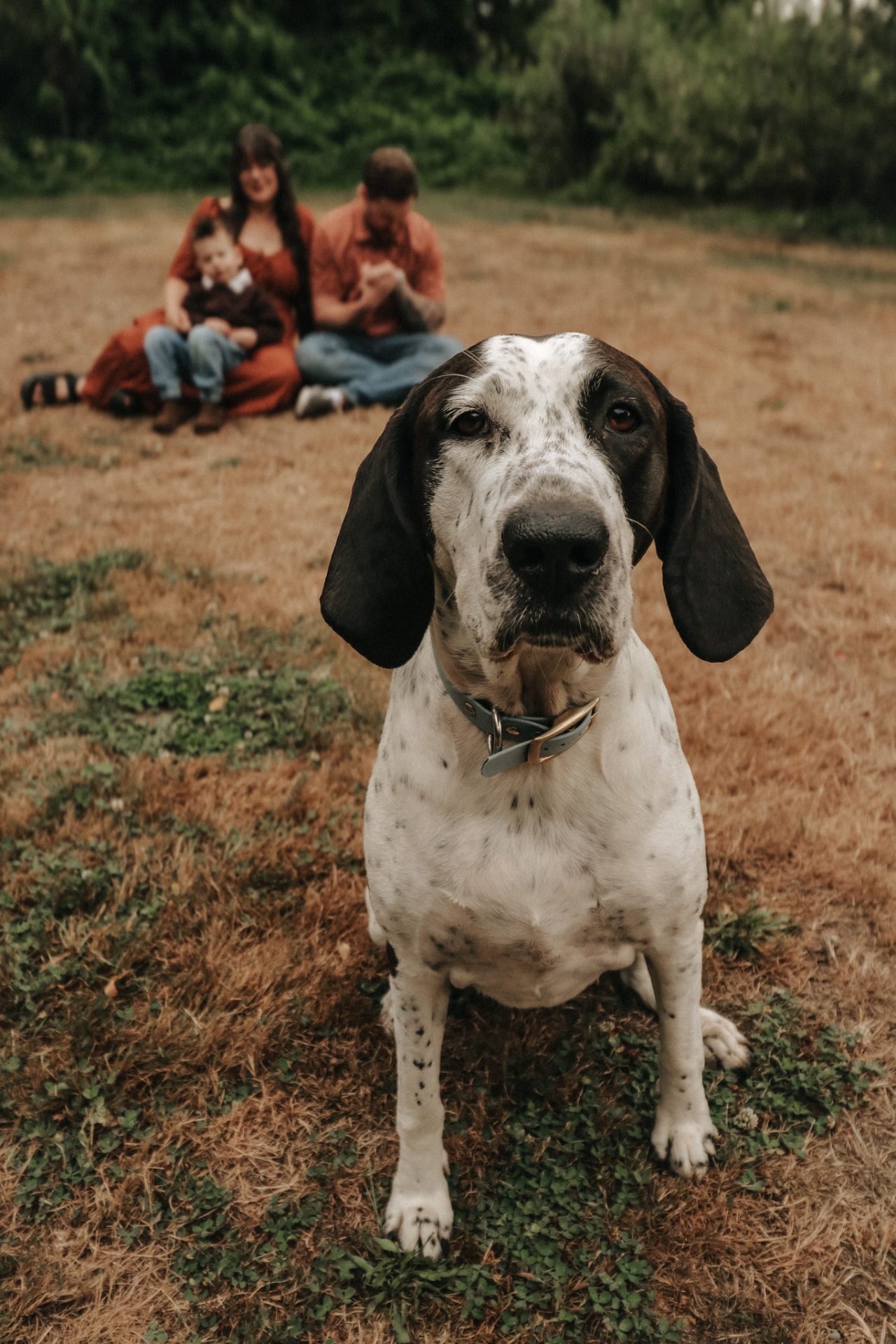 Dog sitting in front of family in field