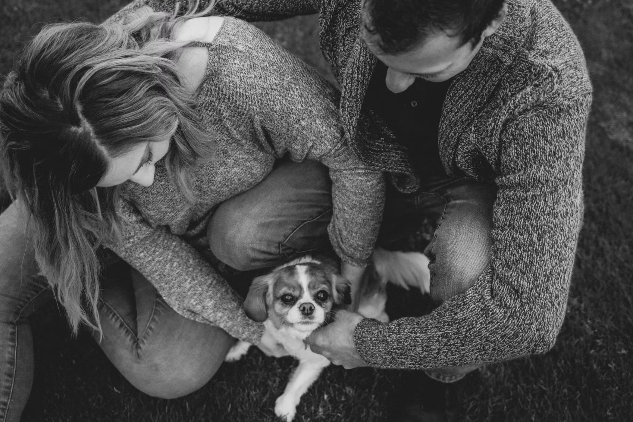 Overhead photograph of a couple cuddling their spaniel on the lawn